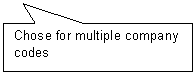 Rectangular Callout: Chose for multiple company codes